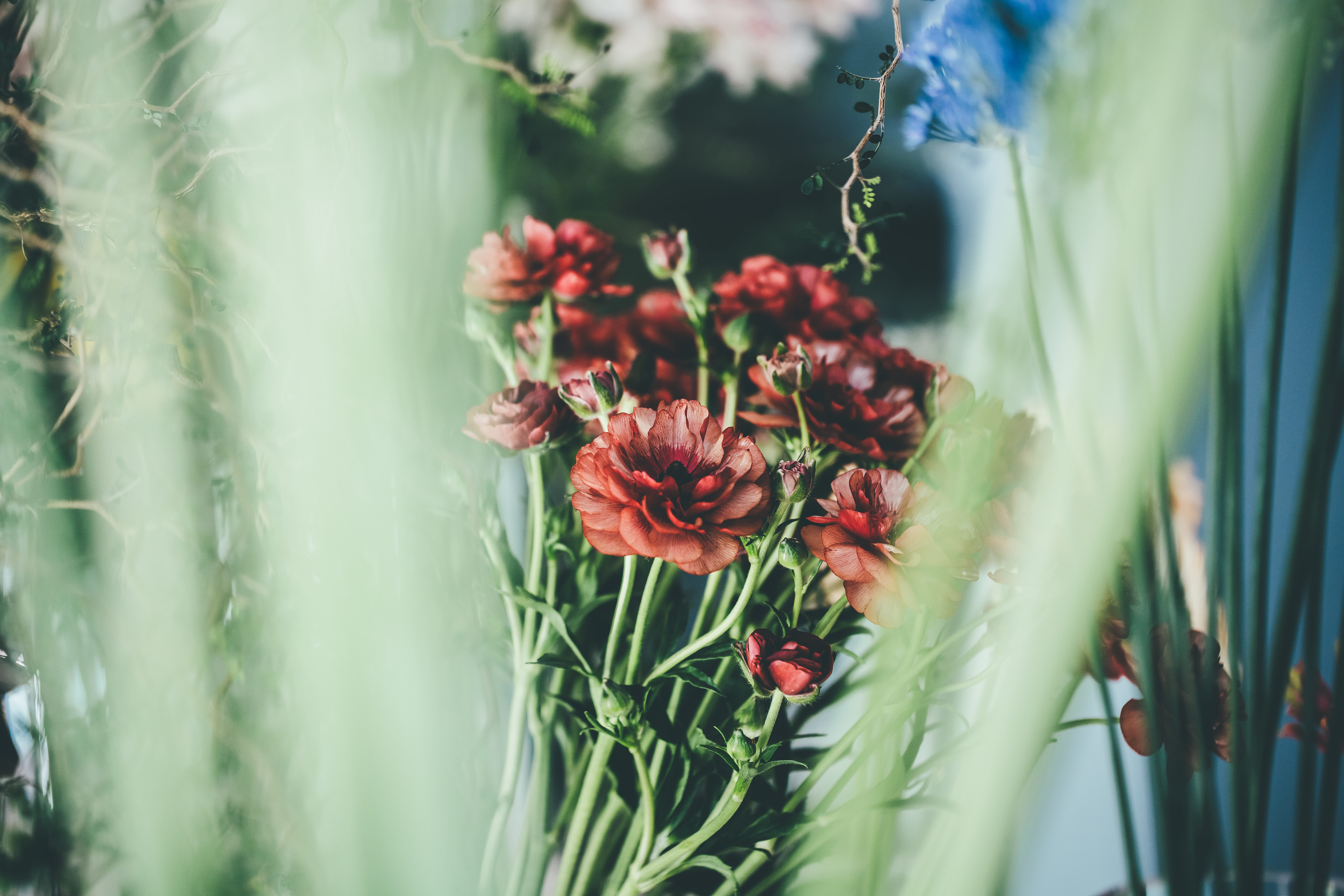 shicaflowerイメージ