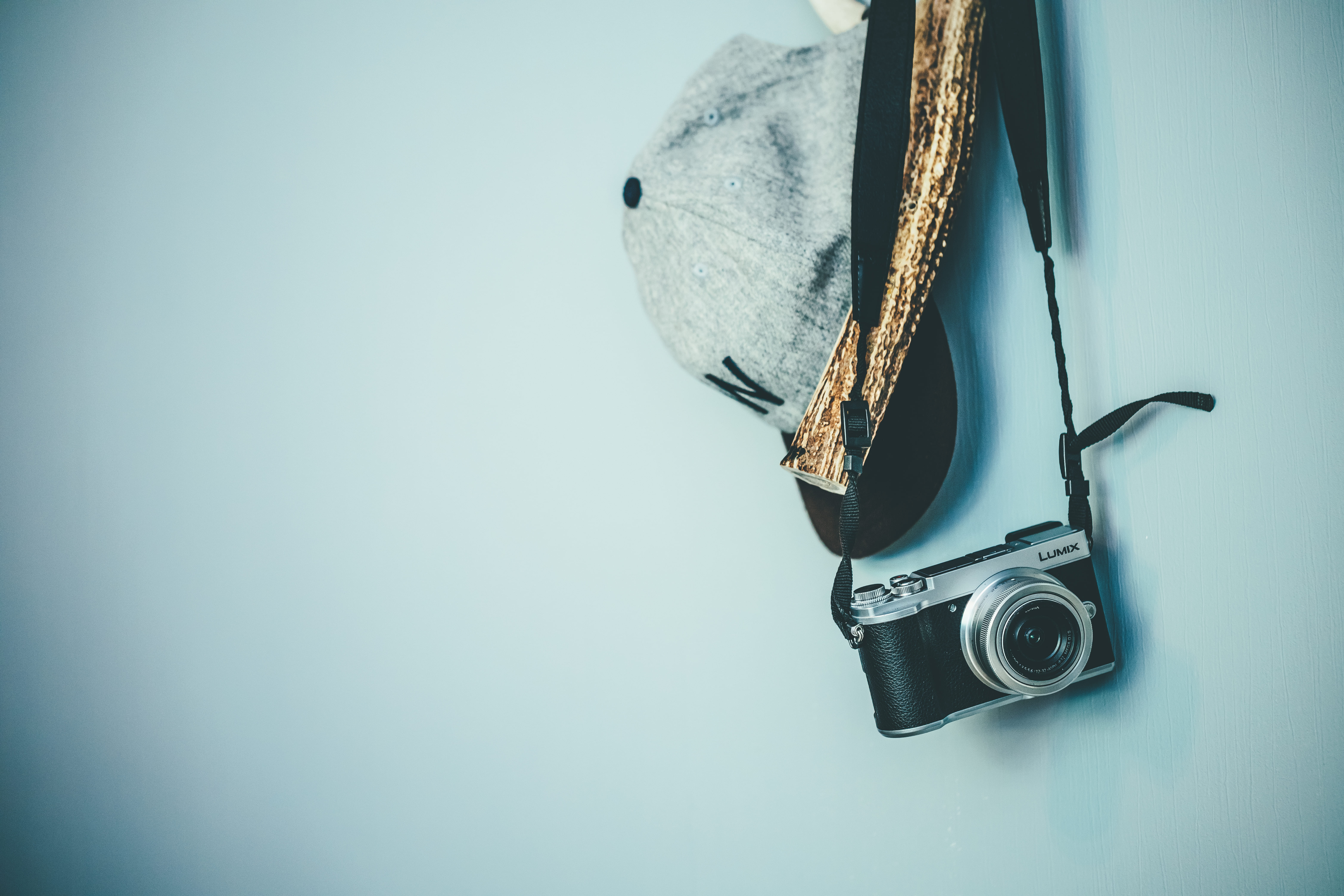 shicaflowerイメージ