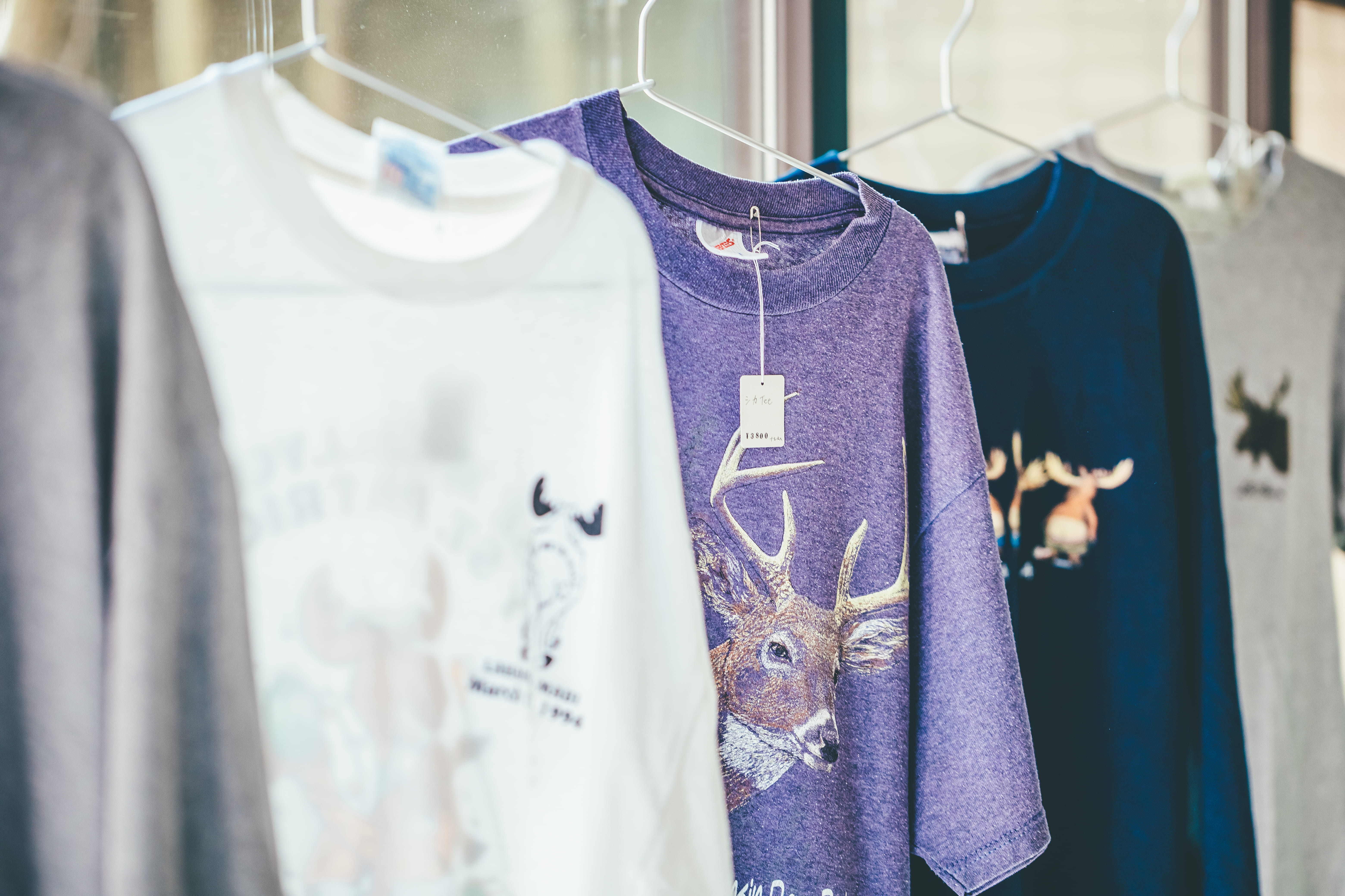 shicaflowerイメージ