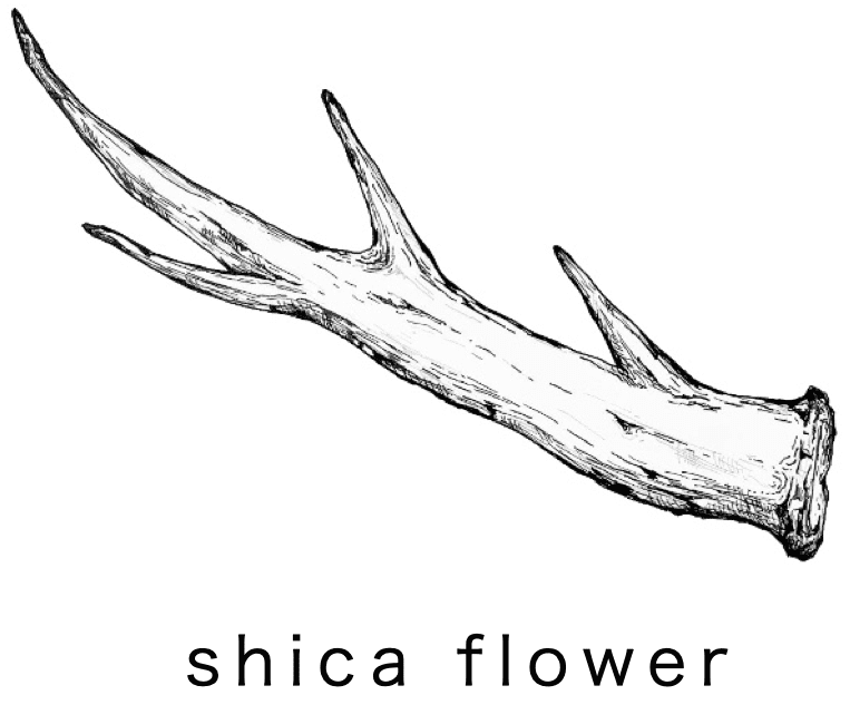shica flowerイメージ